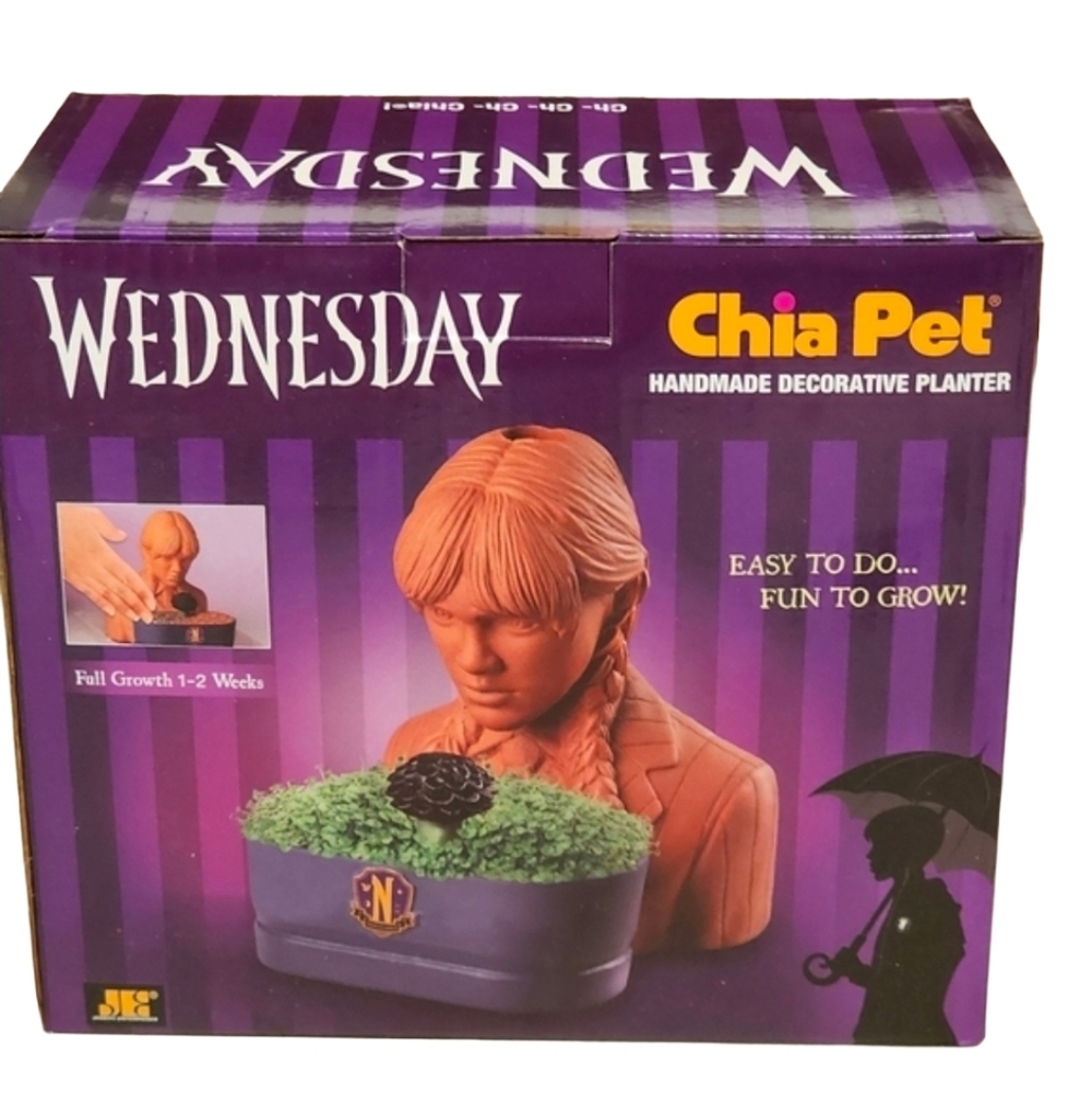 Wednesday Addams Chia Pet Planter New in Box Gothic Halloween Decor